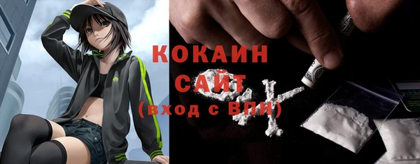 соль ск Белокуриха